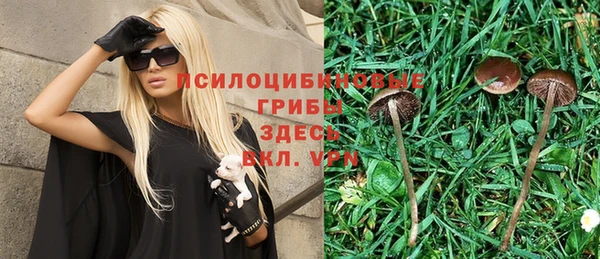 спиды Арсеньев