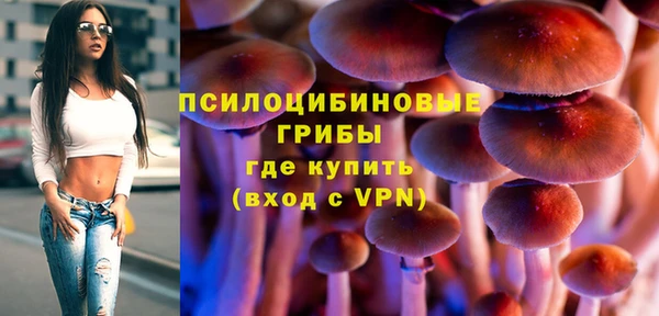 спиды Арсеньев