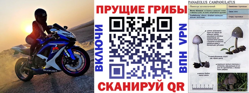 Галлюциногенные грибы Magic Shrooms Приморско-Ахтарск